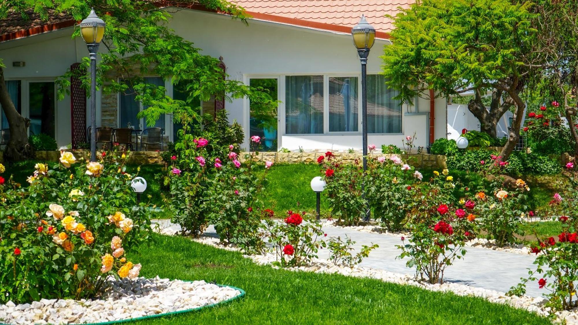 Steaua Apelor Family Guest house