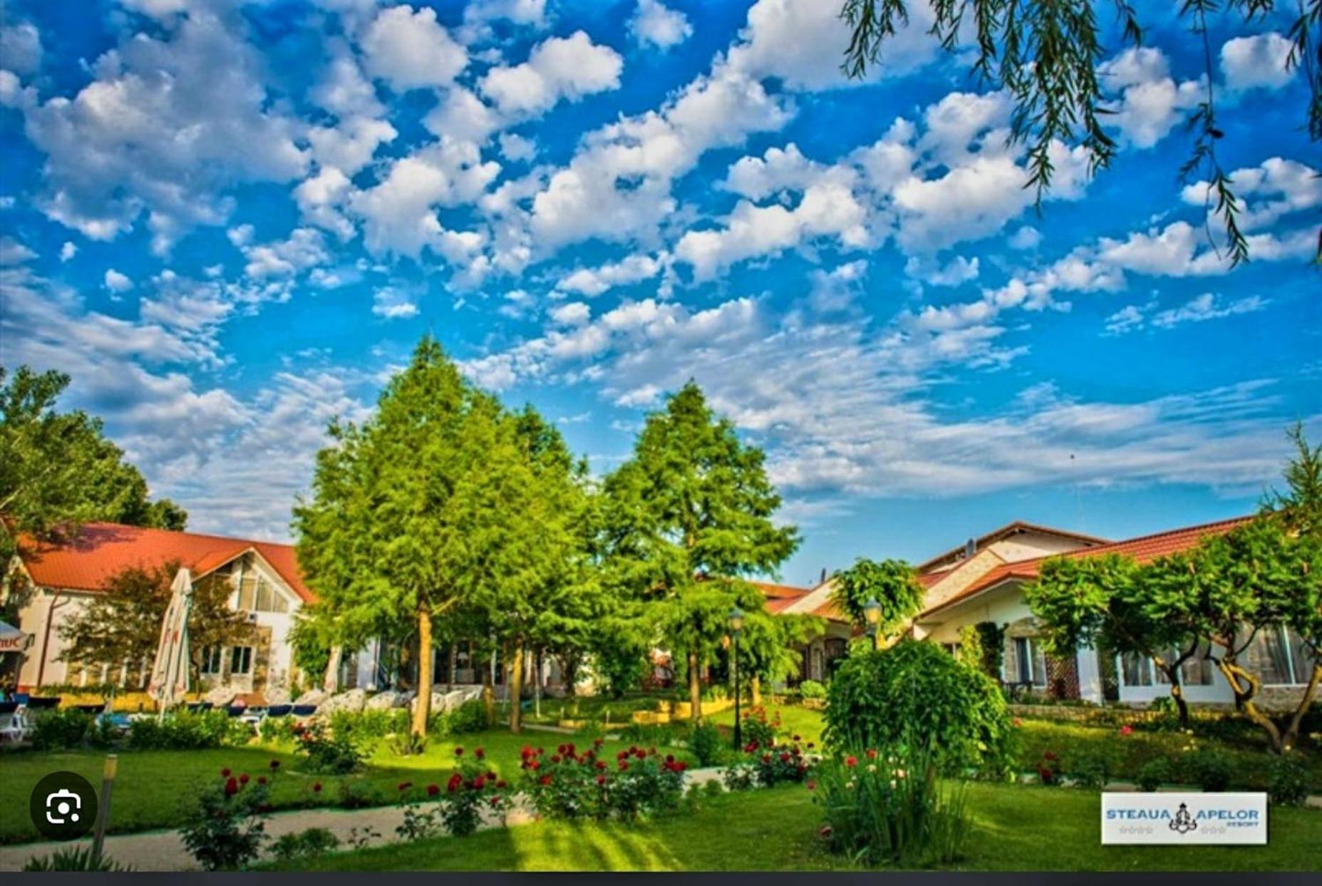 Guest house Steaua Apelor Family