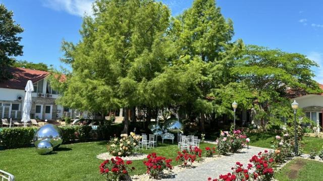 Steaua Apelor Family Guest house 4*